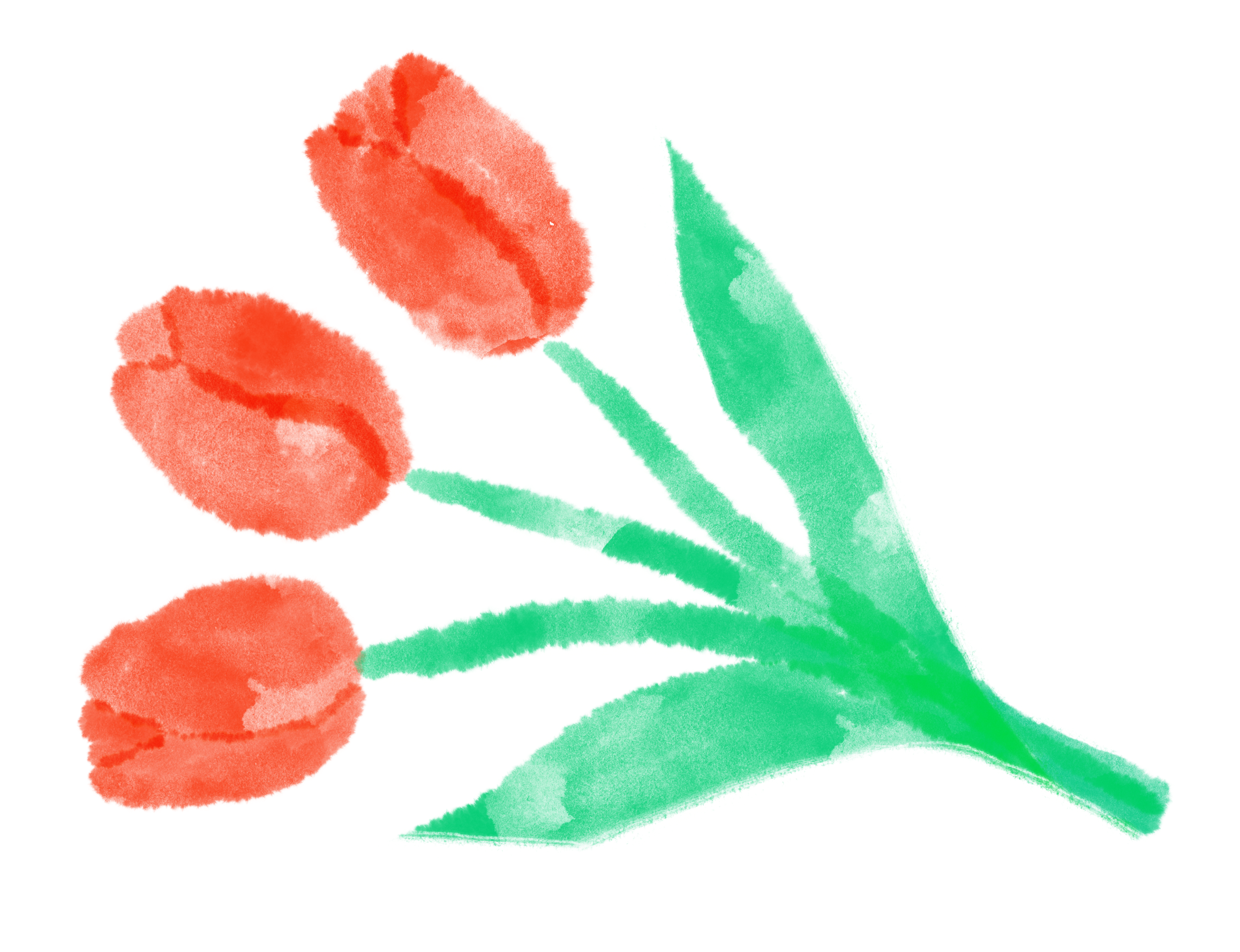 花束: チューリップ3種